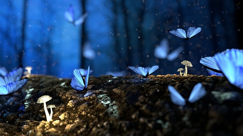 Enchanted Creations
